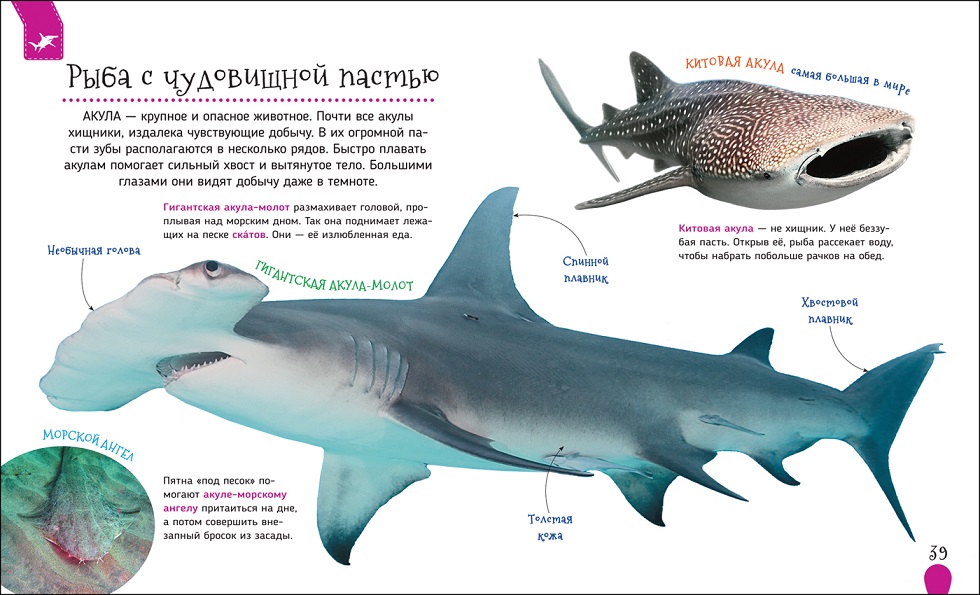 Первая энциклопедия - Подводный мир  