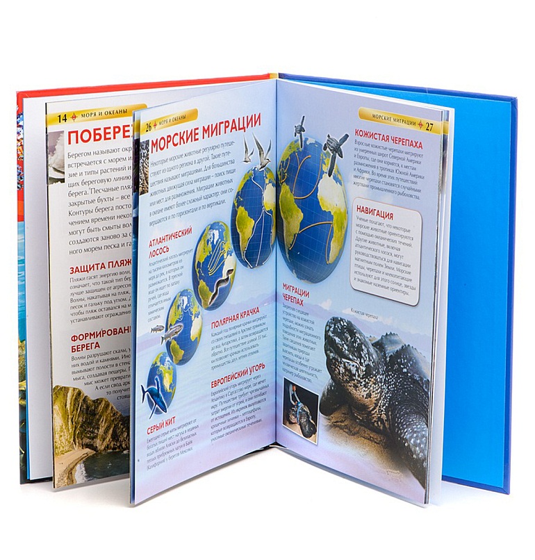 Комплект из 3 детских энциклопедий: Животные, Космос, Моря и океаны  