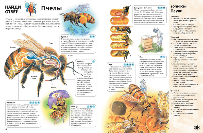 Интерактивная энциклопедия «Животные. Вопросы и ответы»  