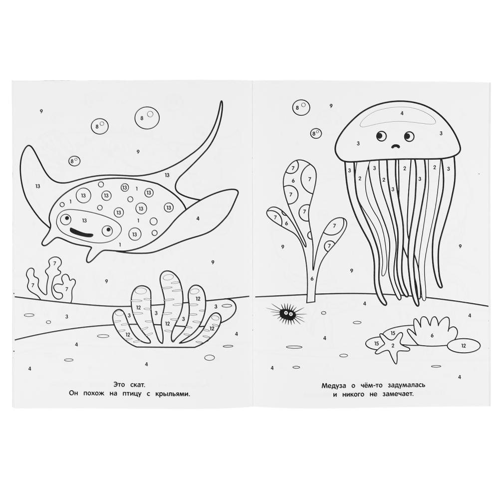 Раскраска по номерам - Акуленок  