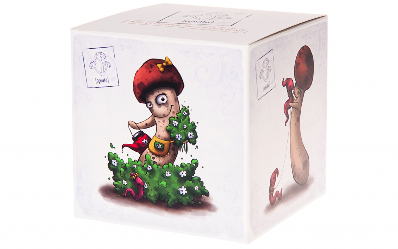 

Игра настольная – Опята