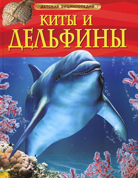 

Киты и дельфины. Детская энциклопедия