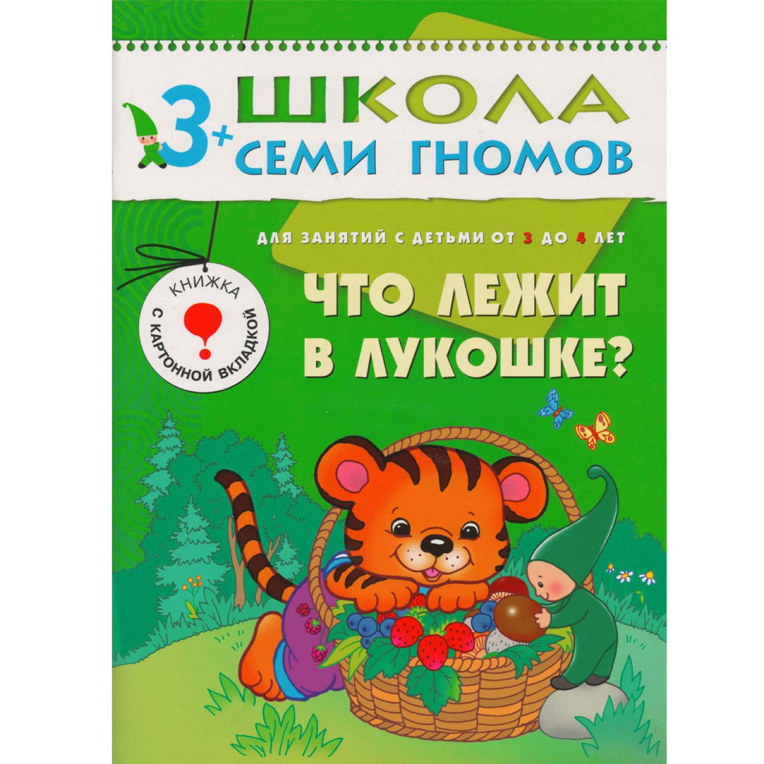 

Книга Школа Семи Гномов - Что лежит в лукошке, четвертый год обучения