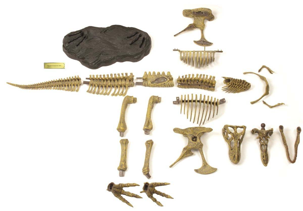 Набор из серии Dr.Steve Hunters - Палеоэкспедиция в поисках скелета Тираннозавра, 21 деталь  
