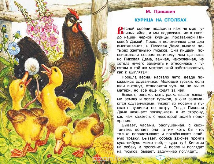 Читать книгу курица. М М пришвин курица на Столбах. Книга пришвин курица на Столбах. Курица на Столбах м пришвин.