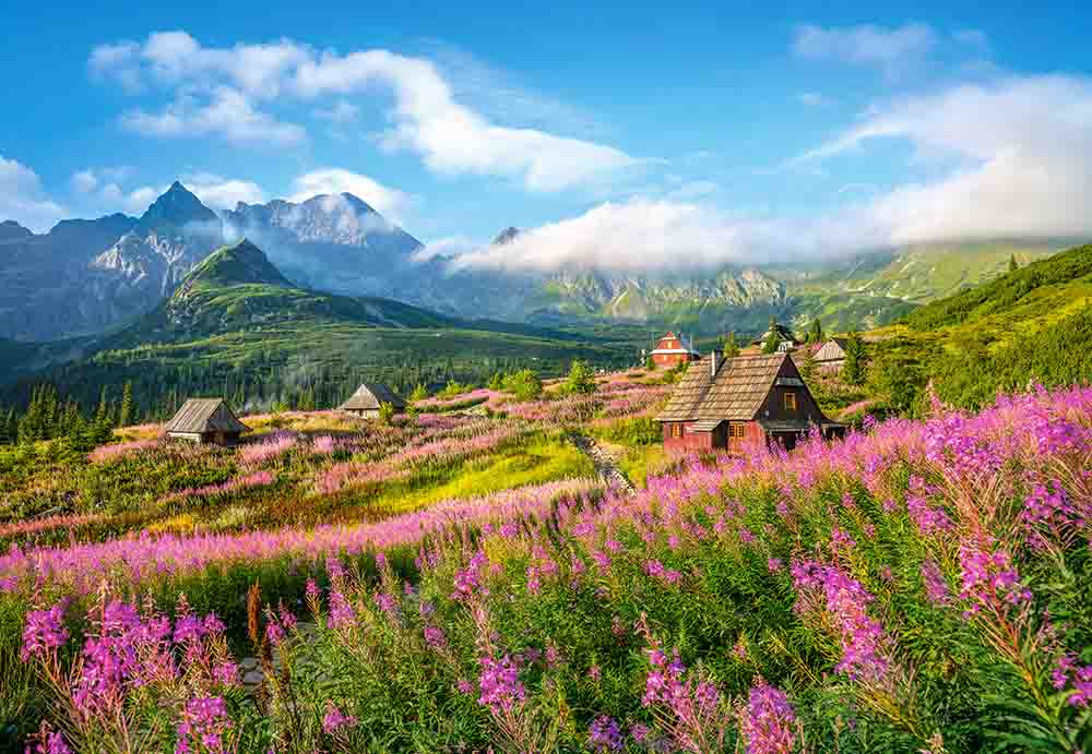 

Пазлы Castorland – Татры. Польша, 1000 элементов
