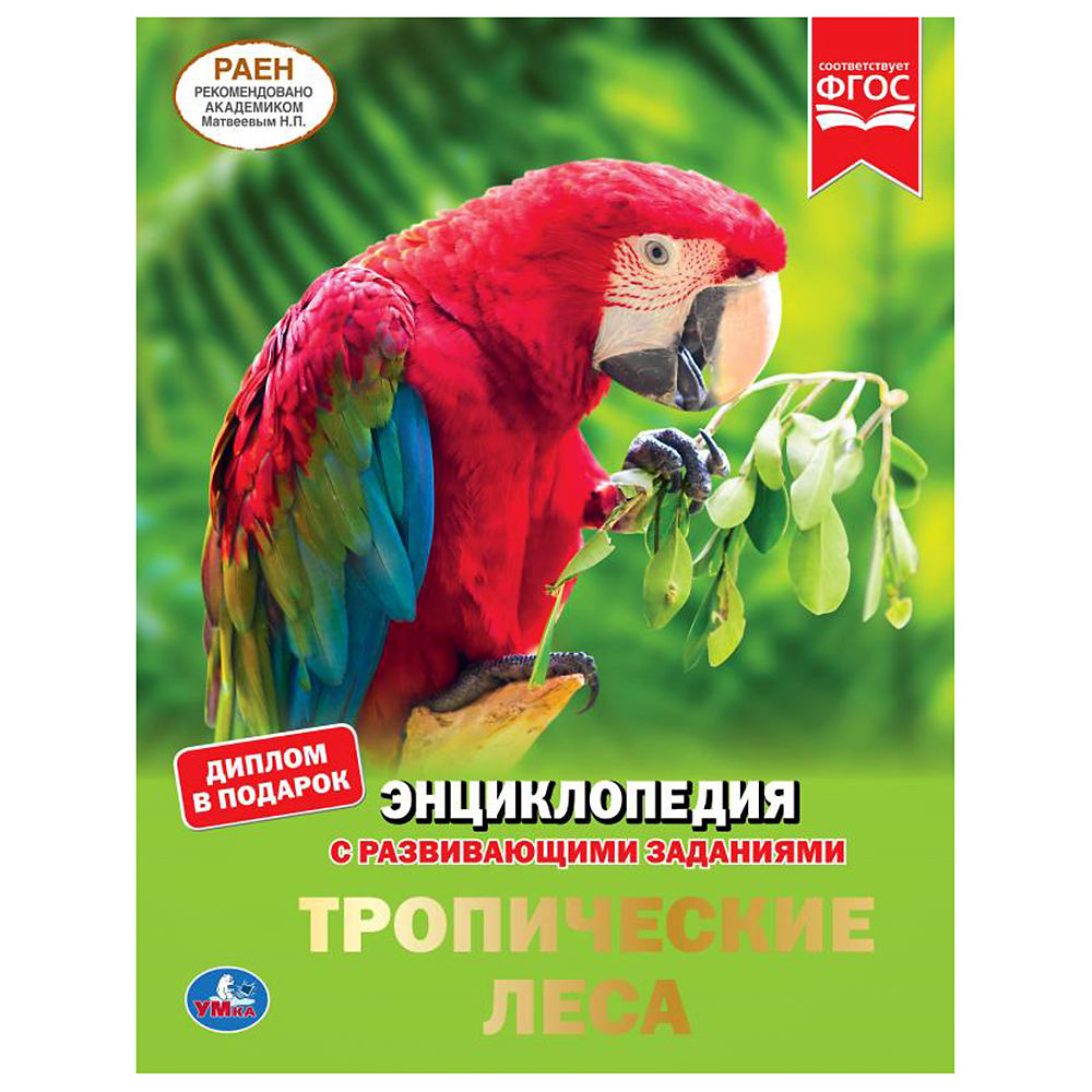 

Энциклопедия А4 с развивающими заданиями – Тропические леса