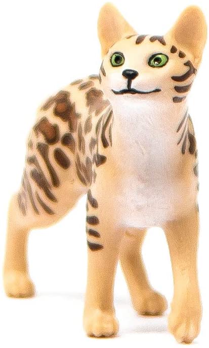 Кошка Магазин Нижнего Белья Пермь Кошка Магазин Нижнего Белья Пермь