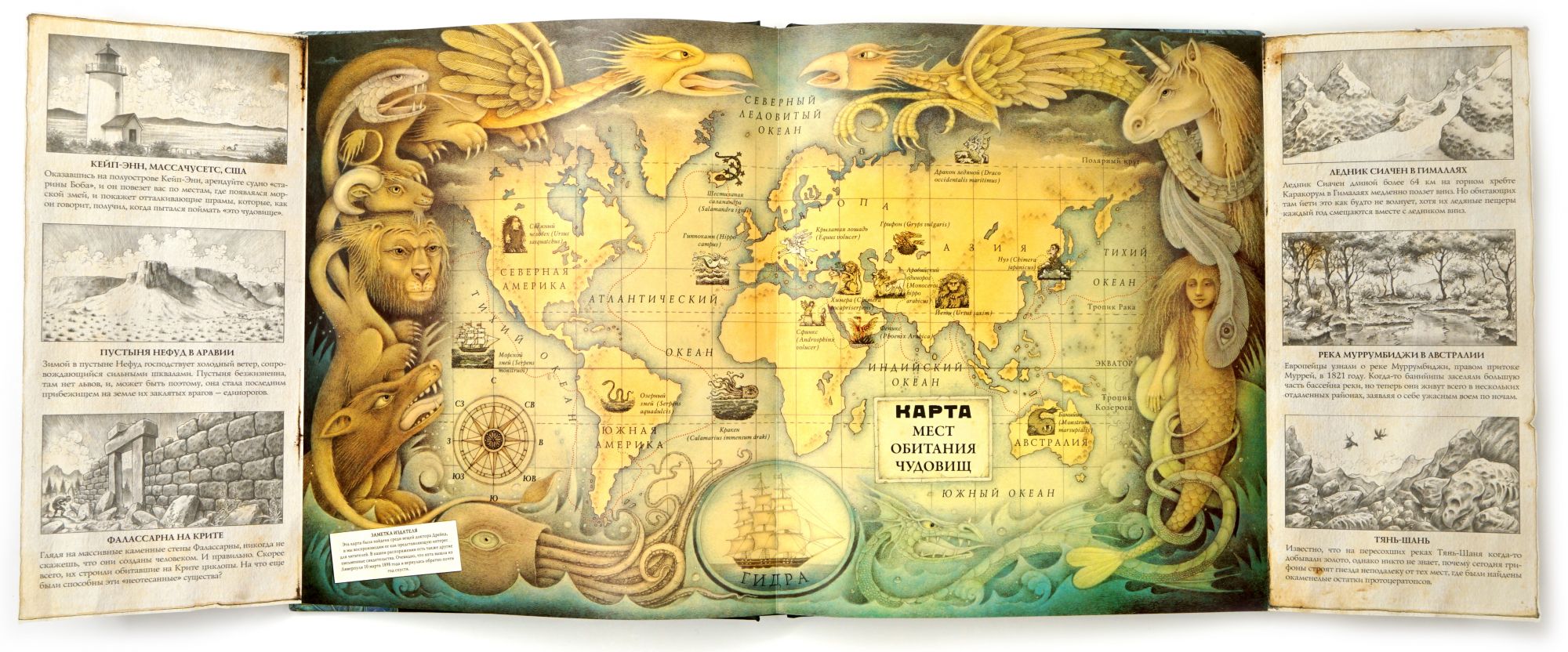 Купить Книгу Драконоведение Издательство Махаон