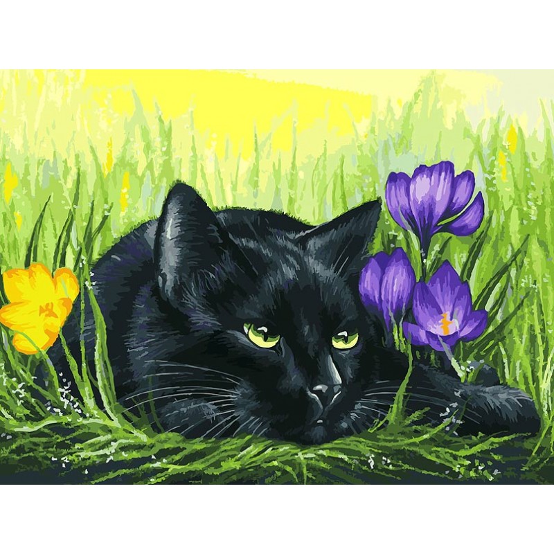 

Раскраски по номерам - Кот и крокусы, 40 х 30 см