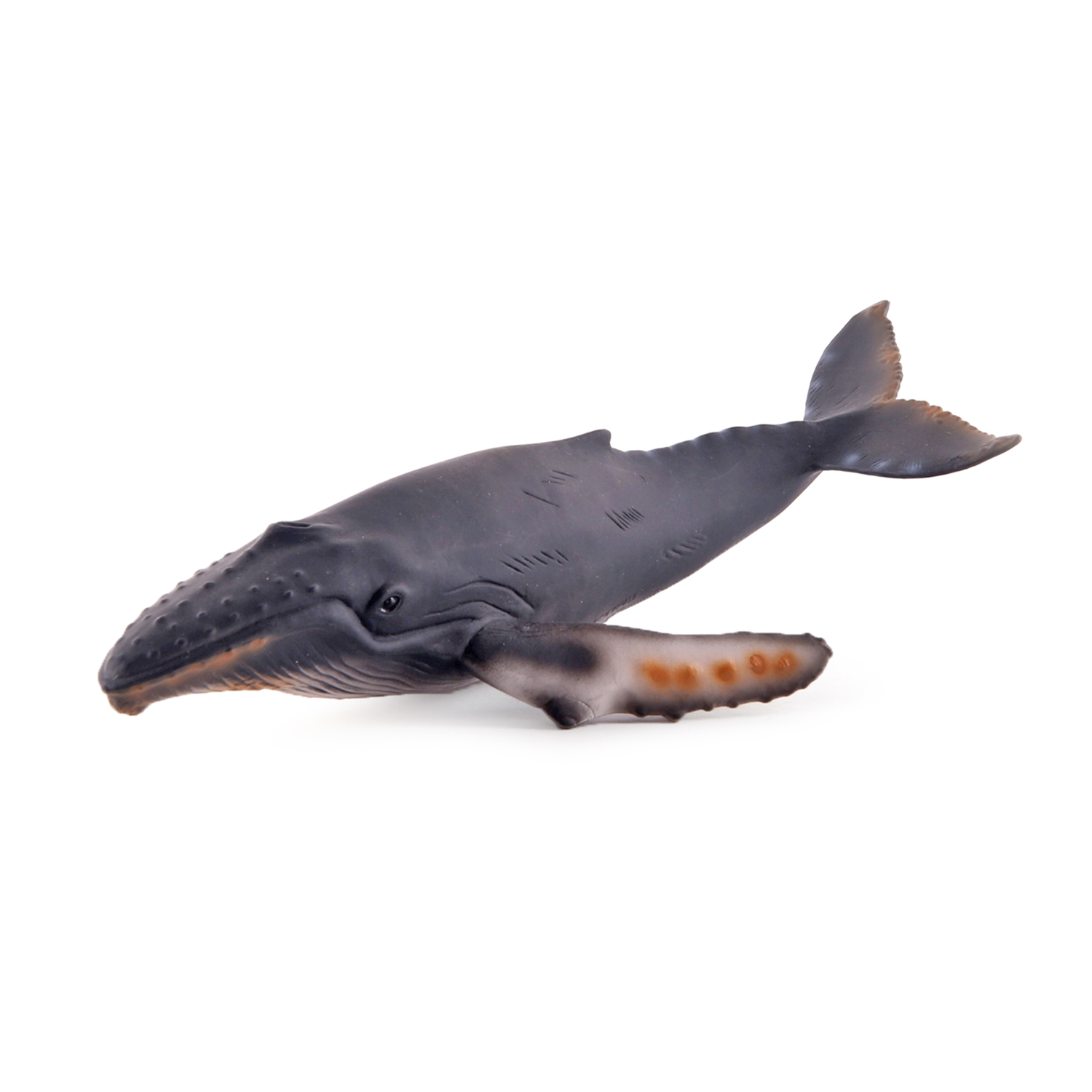 Горбатый кит XL  