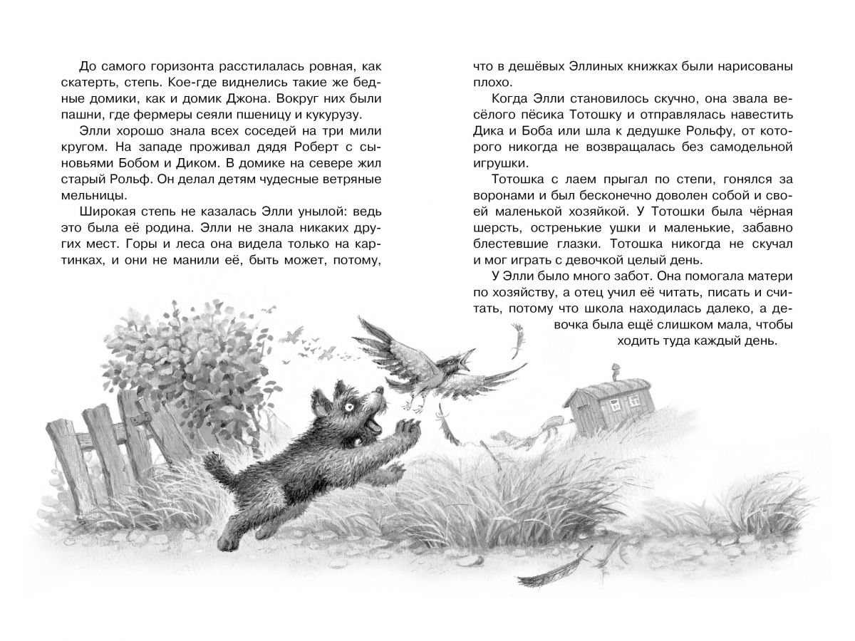 Книга из серии Чтение – лучшее учение А. Волков Волшебник Изумрудного города  