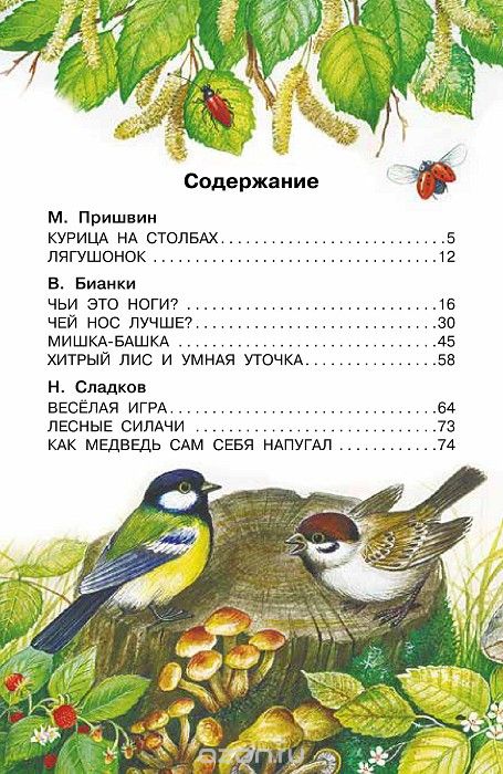 Пришвин лягушонок план