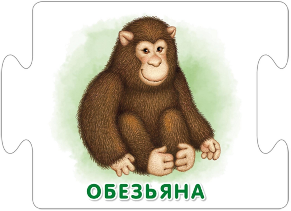 Пазлы - Логика  