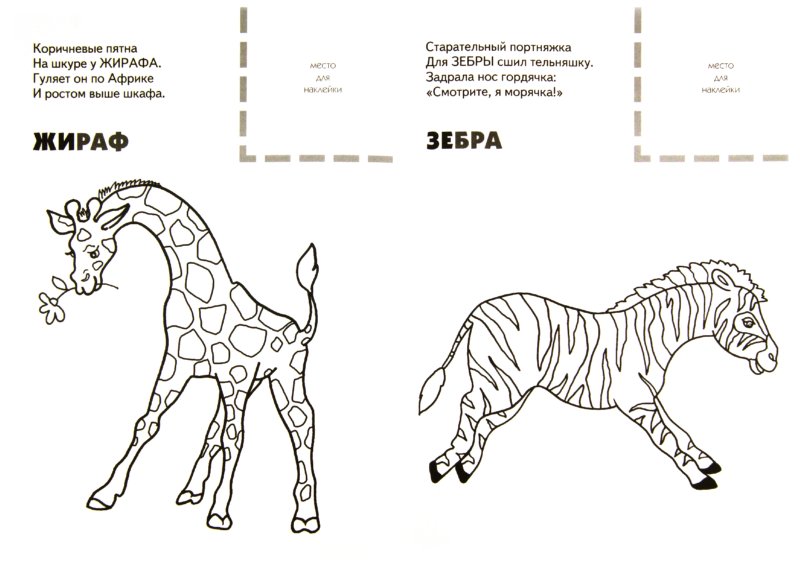 Раскраска с наклейками. Животные жарких стран  