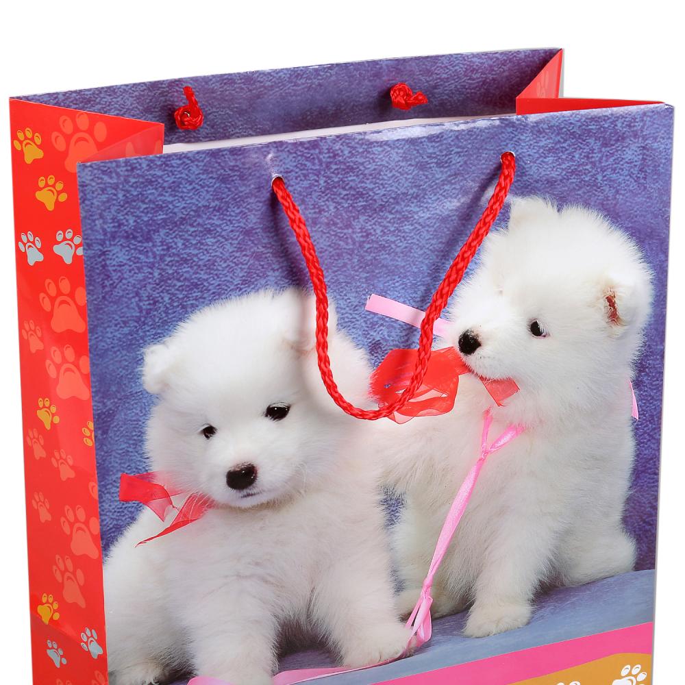 Пакет подарочный - Домашние животные - Собаки,  глянцевый  
