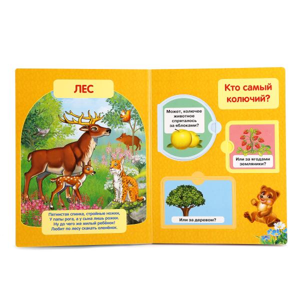Книжка с окошками – Зоопарк  