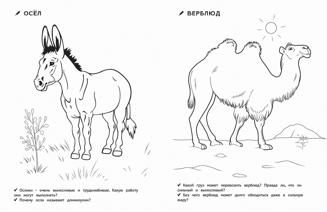 Раскраски для детского сада - Домашние животные  