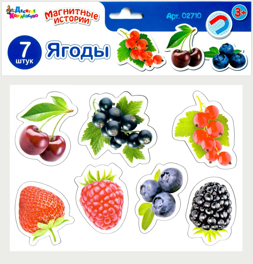 

Набор магнитов. Магнитные истории - Ягоды