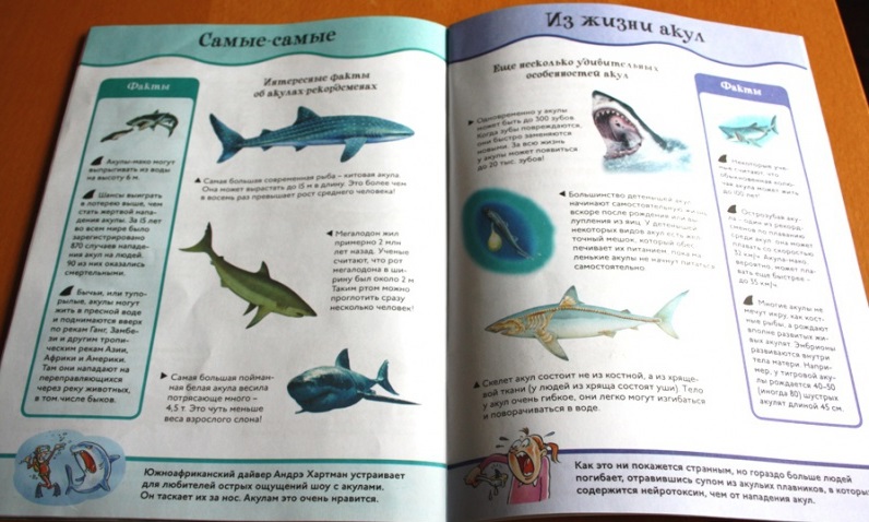 Книга с забавными наклейками «Акулы» из серии Animal Planet  