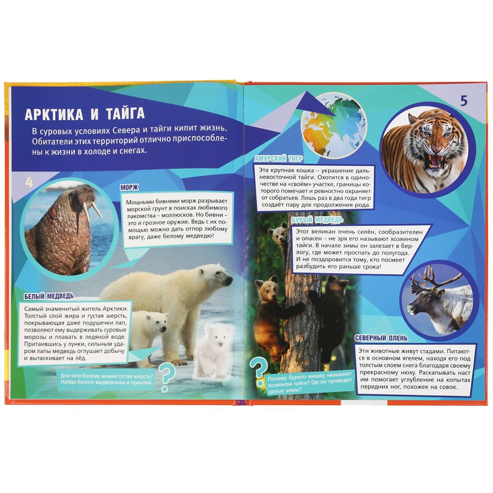 Энциклопедия А4 с наклейками и развивающими заданиями – Животные  