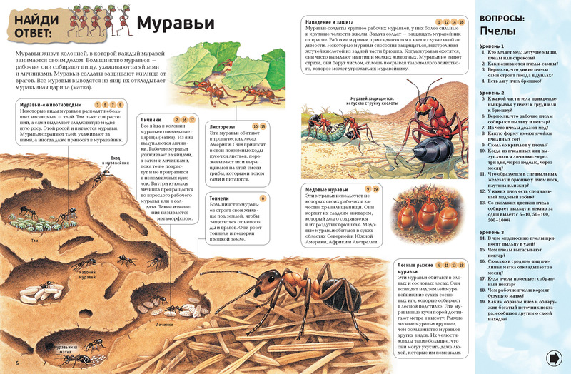 Муравьи живут. Паук и муравей отличается. Интересные факты про муравьев. Сообщение про муравьёв. Текст муравей.