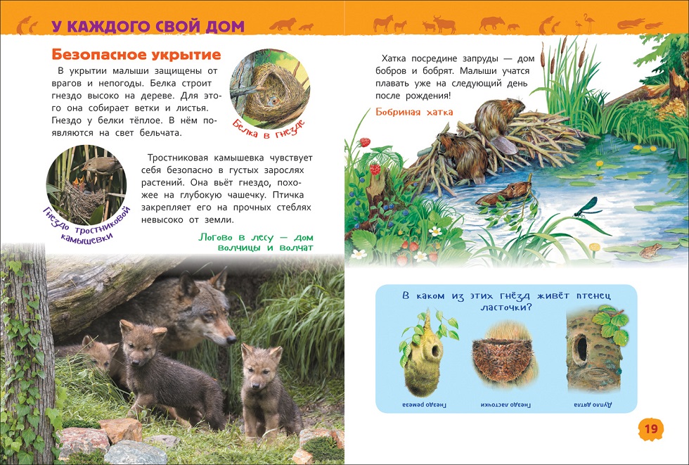 Энциклопедия для детского сада - Детеныши животных  