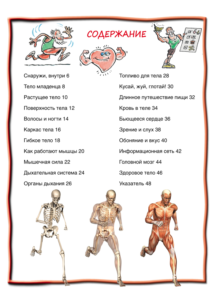 Энциклопедия - Тело человека - 100 фактов  
