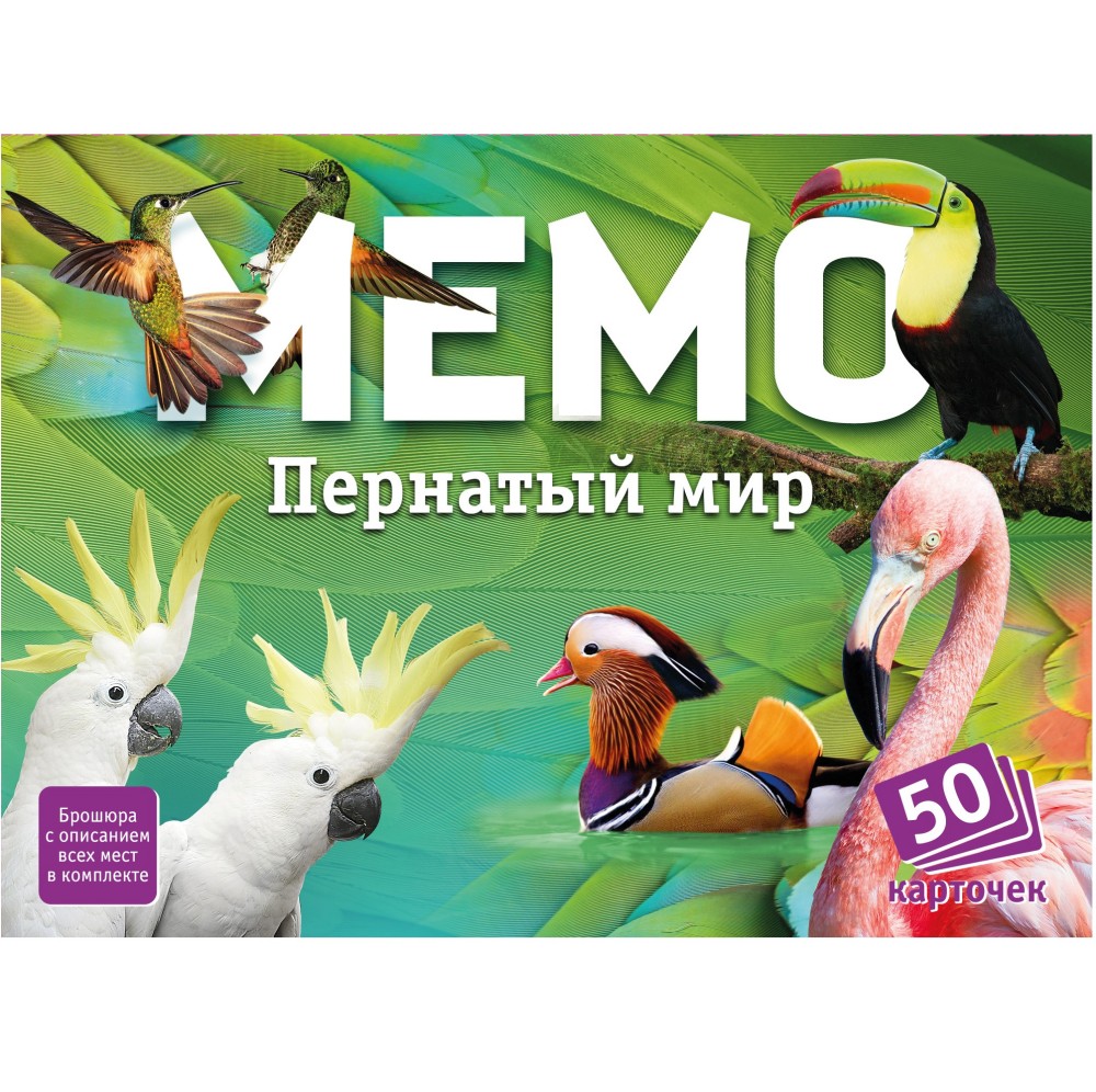 Настольная игра Мемо - Пернатый мир  