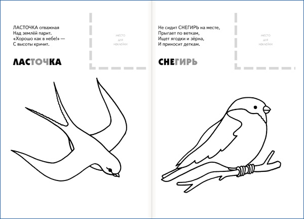 Раскраска с наклейками – Птицы  