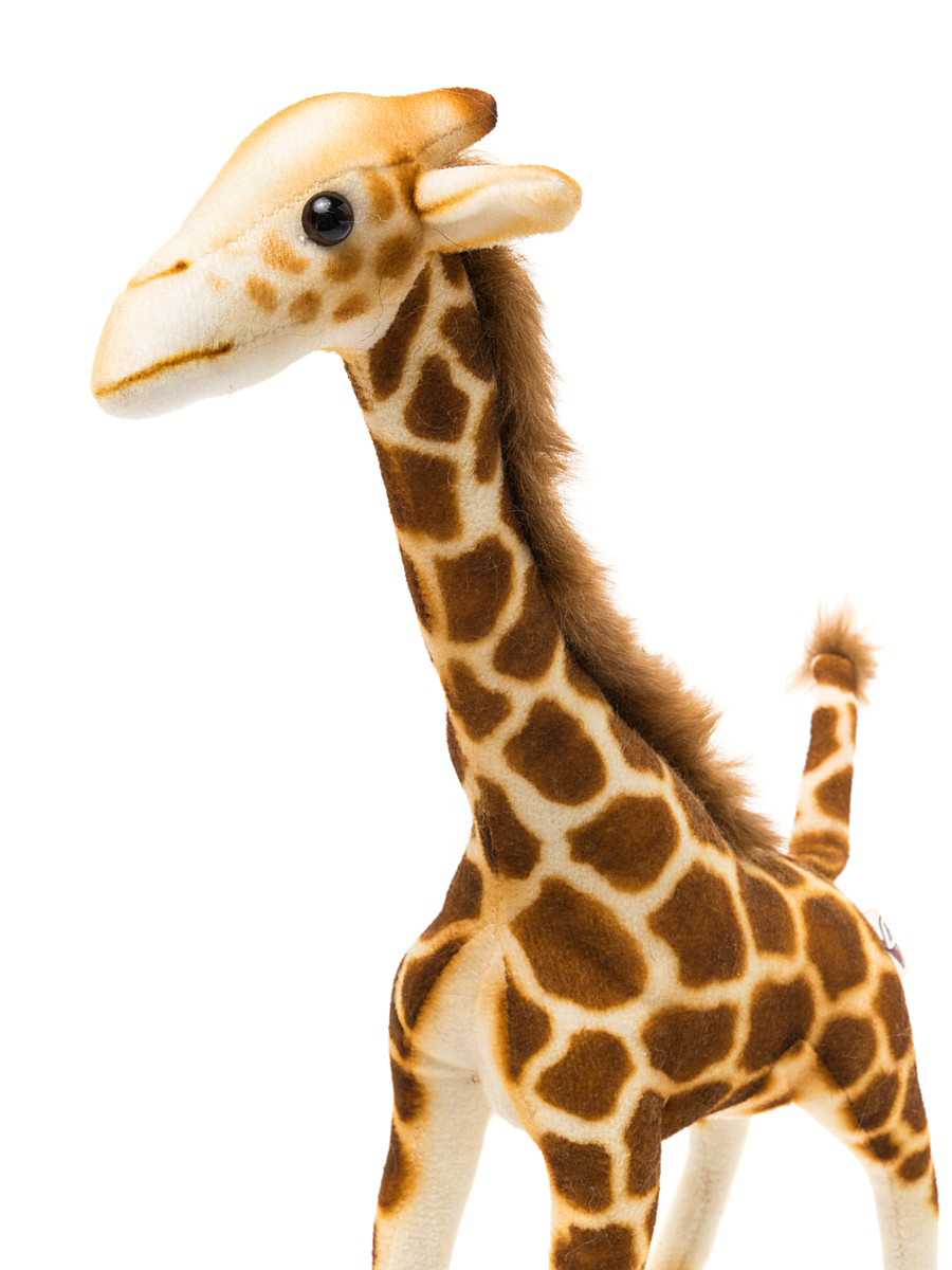 Мягкая игрушка – Жираф, 27 см  