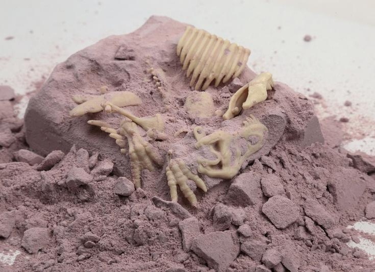 Набор юного археолога - Скелет Тираннозавра  