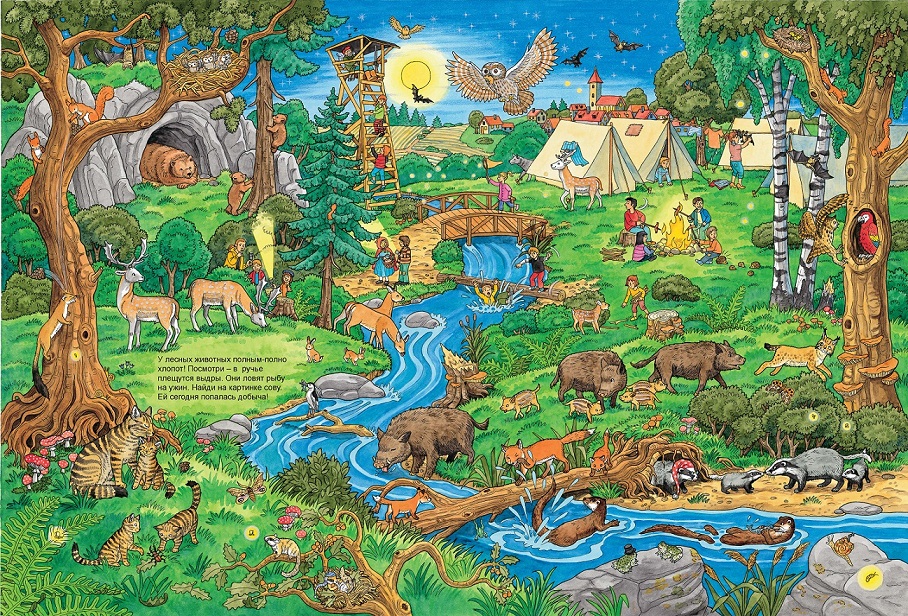 Книжка-Виммельбух - Жизнь животных  