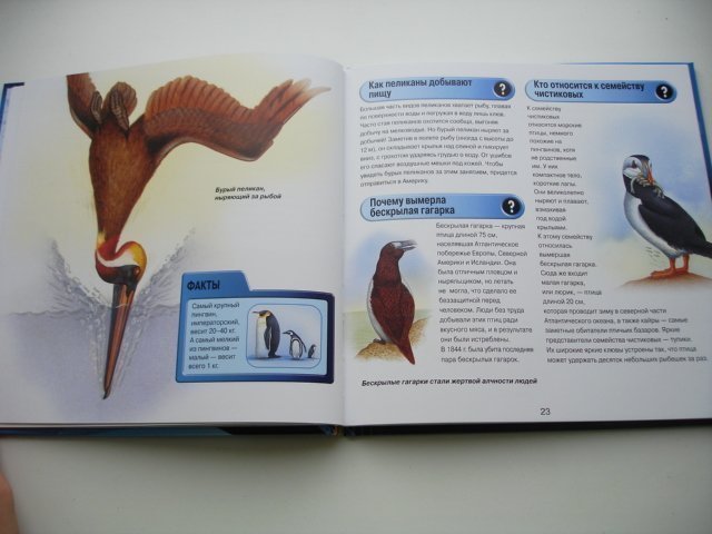 Детская энциклопедия Птицы 3D  