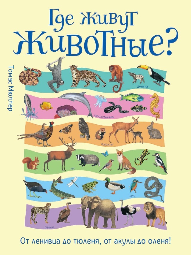 

Энциклопедия - Где живут животные От ленивца до тюленя, от акулы до оленя!