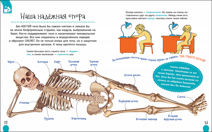 Книга из серии Первая энциклопедия - Тело человека  