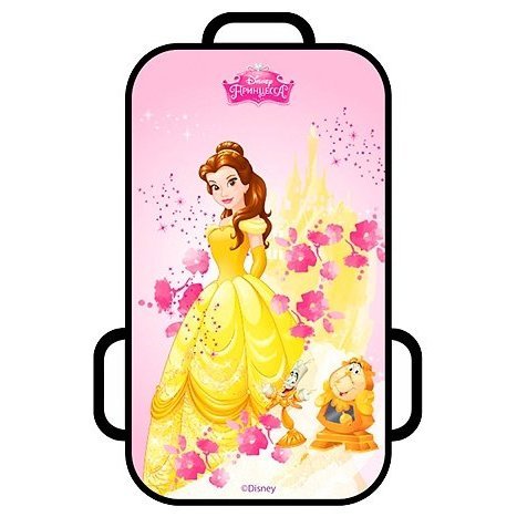 

Ледянка прямоугольная из серии Принцессы Disney, размер 72 х 41 см.