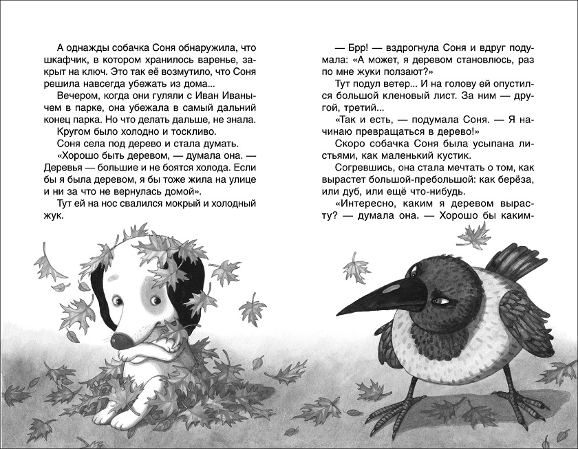 Книга - Усачев А. Умная и знаменитая собачка Соня из серии Внеклассное чтение  
