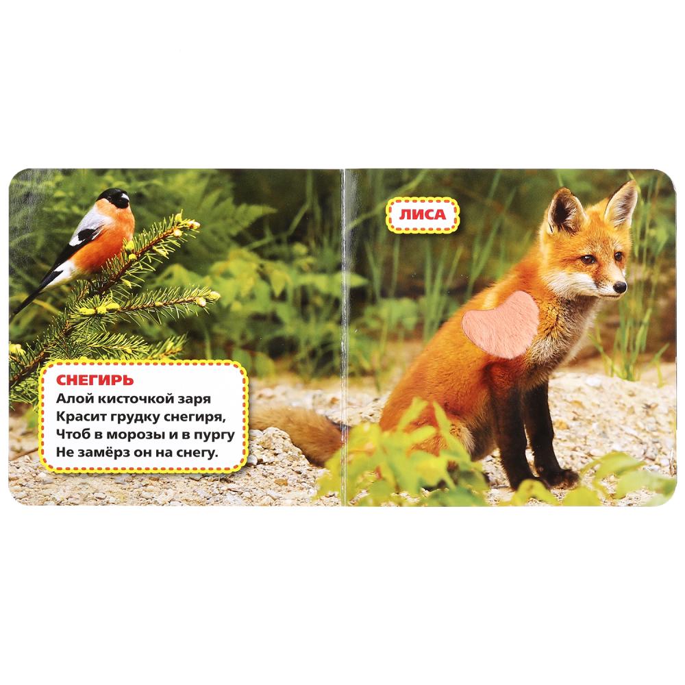 алой кисточкой заря красит грудку