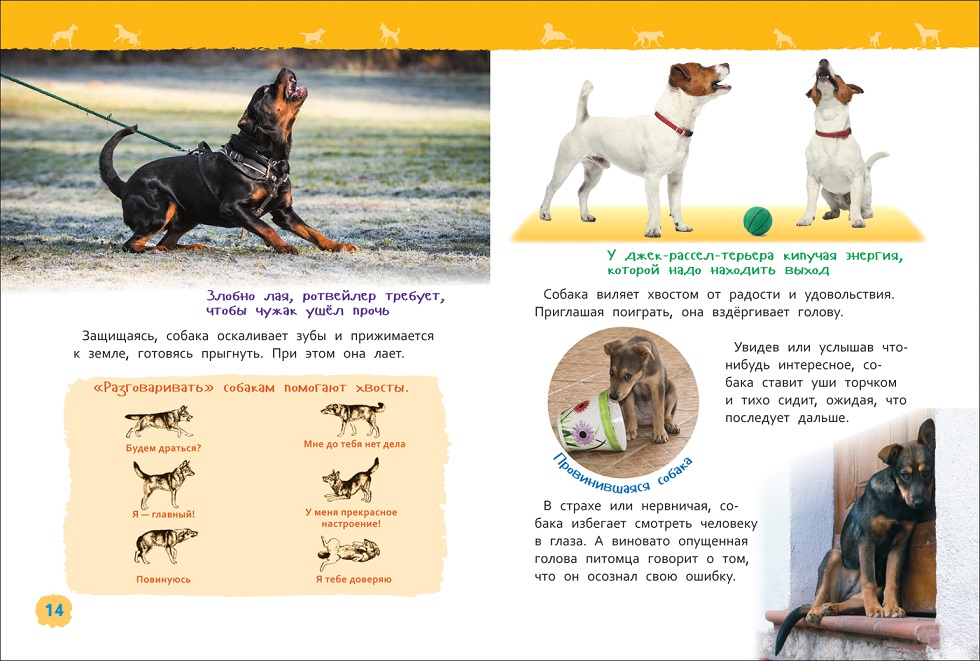 Энциклопедия для детского сада - Собаки и щенки  
