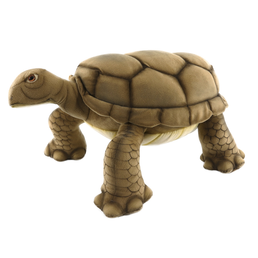 Мягкая игрушка - Галапагосская черепаха, 70 см  