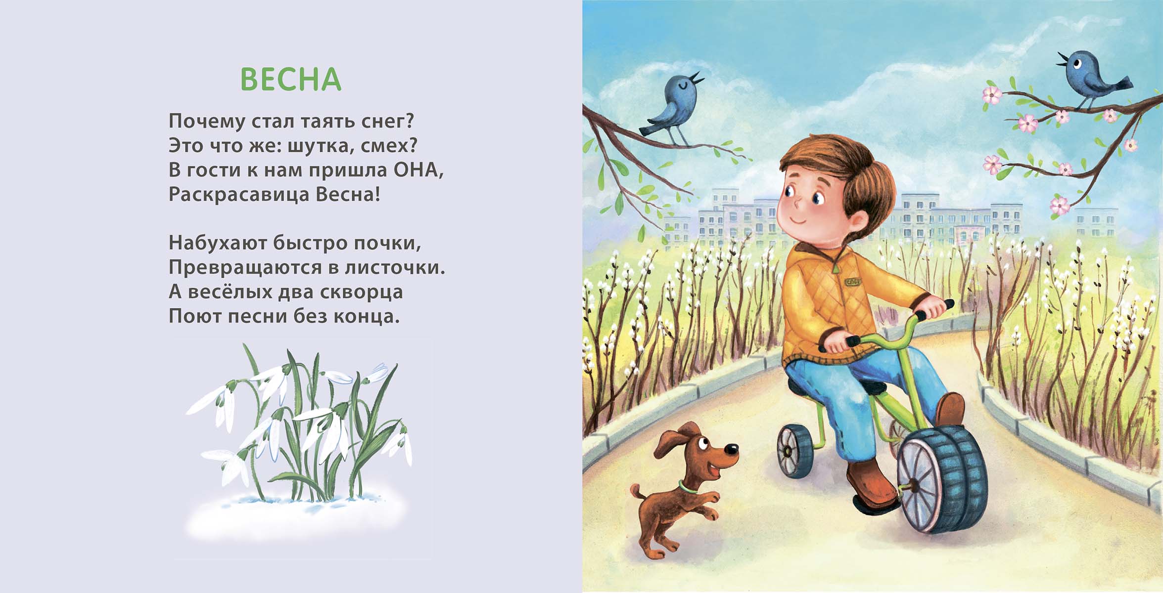 Книжка-картонка - Времена года  