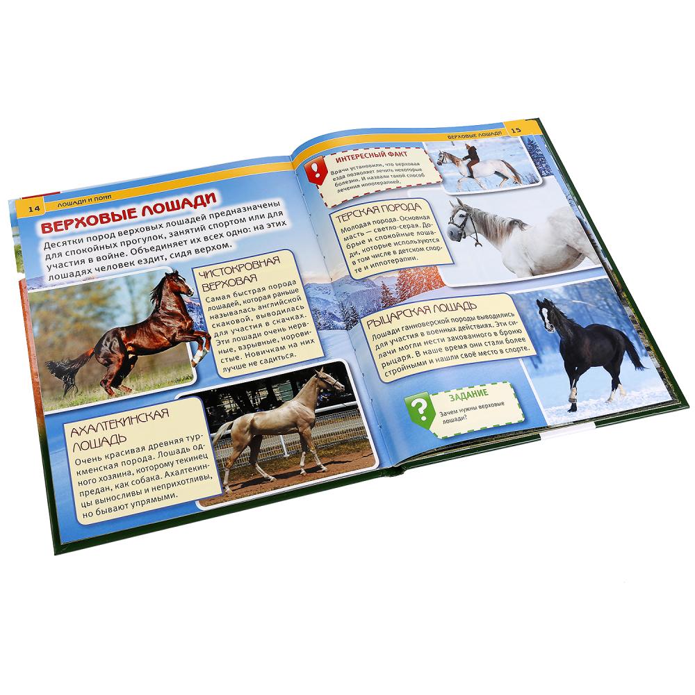 Энциклопедия – Лошади и пони, с развивающими заданиями  