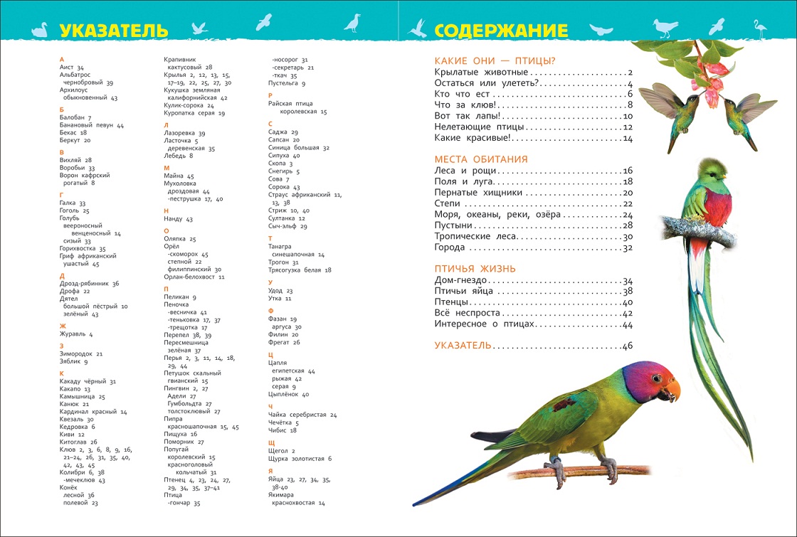 Энциклопедия для детского сада - Птицы  