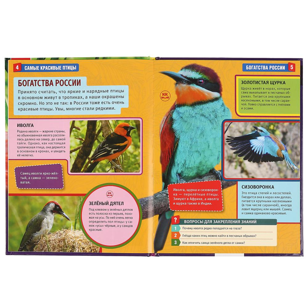 Энциклопедия А4 – Самые красивые птицы  
