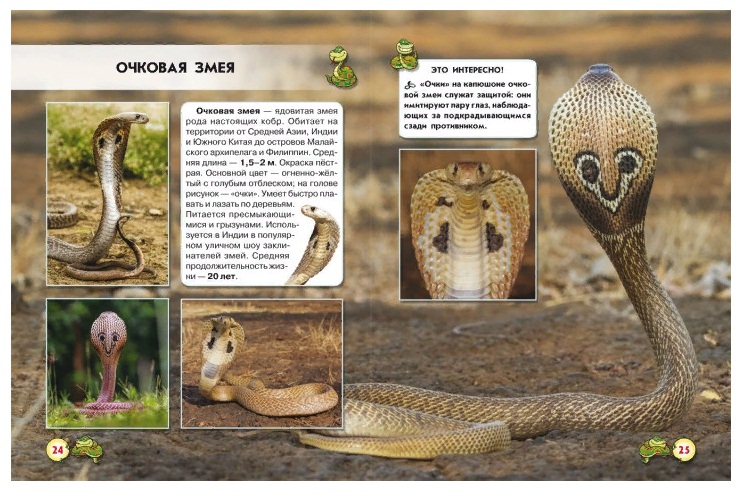 Фотоэнциклопедия - Мир вокруг нас. Змеи  