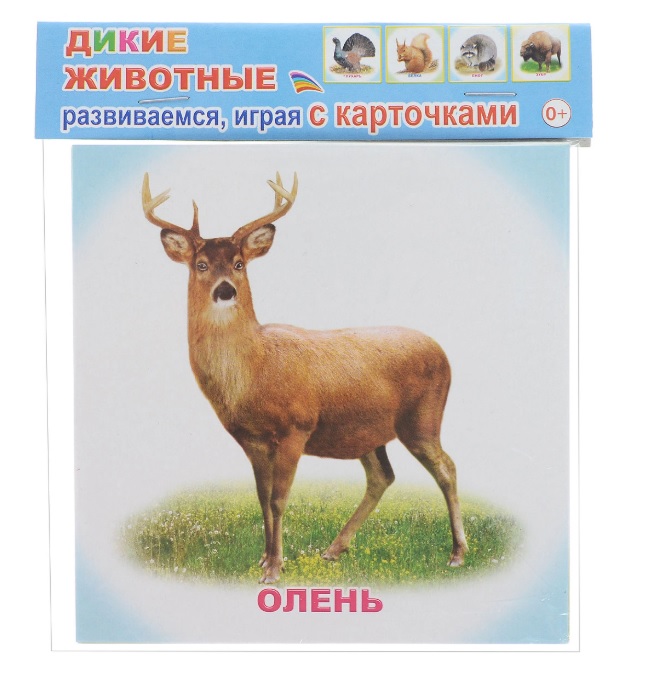 

Обучающие карточки - Дикие животные, 0+