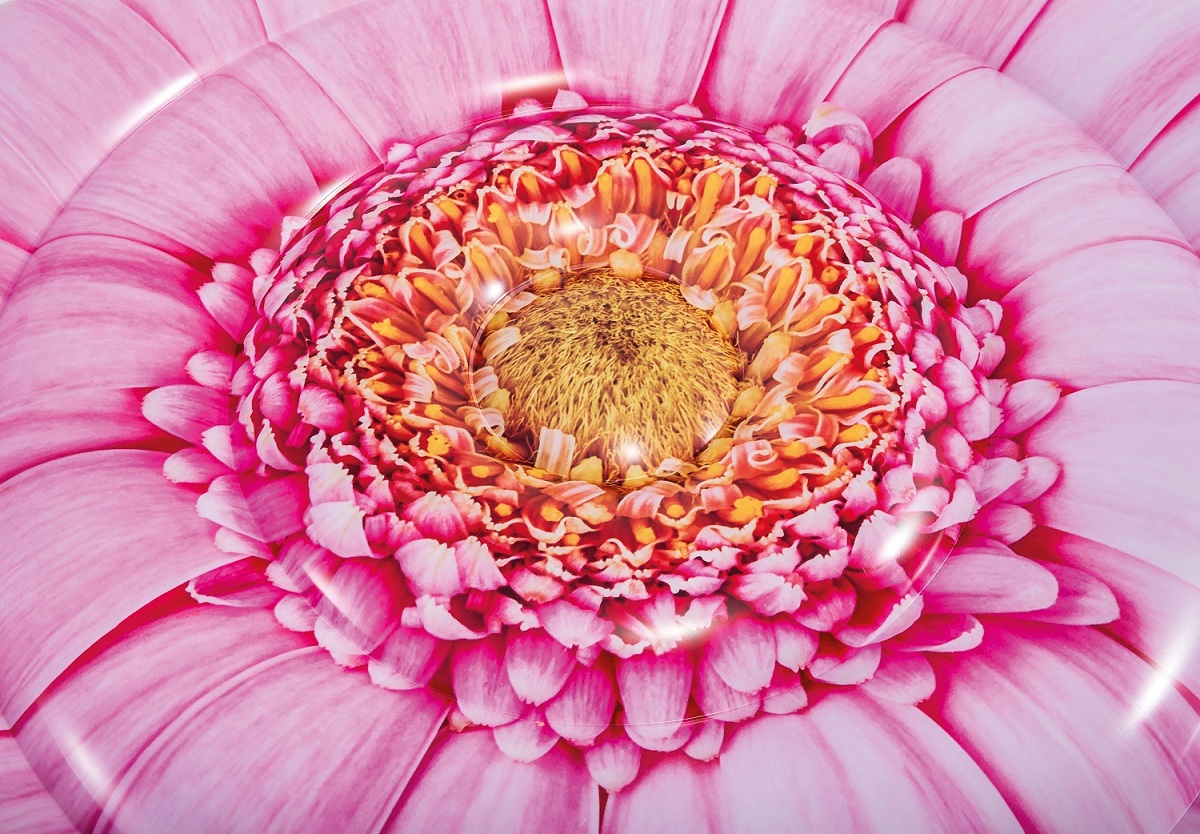 Надувной плотик - Розовый цветок 142 х 142 см  
