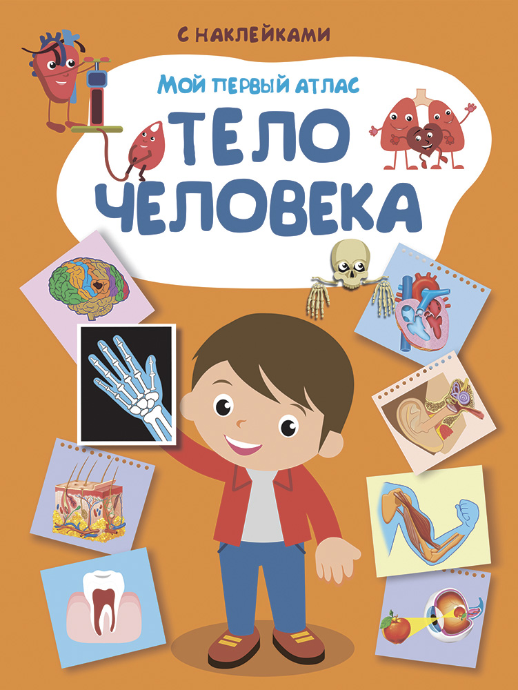 

Книга с наклейками из серии Мой первый атлас - Тело человека