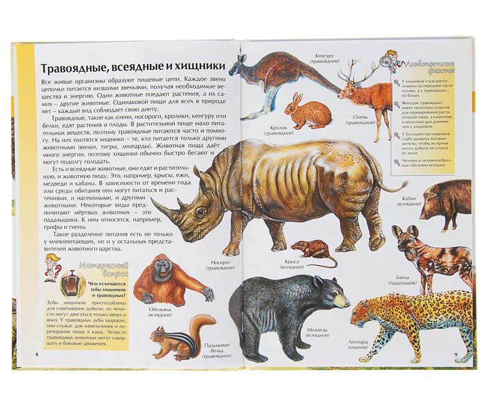 Иллюстрированная энциклопедия школьника - Мир животных  
